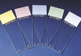 Erie Scientific - 4951PLUS-001 Superfrost™ Plus Microscope Slide