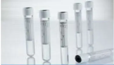 Greiner Bio-One - 454241 Vacuette® Venous Blood Collection Tube