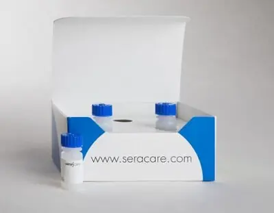 Fisher Anatomical - 22554187 Serology Control AccuRun® Syphilis Screen Positive Level 3 X 1 mL