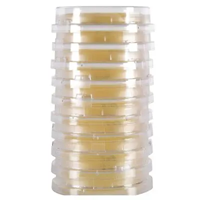 Hardy Diagnostics - P365 Growth Media LokTight™ Tryptic Soy Agar (TSA) with Lecithin and Tween Beige Contact Plate Format