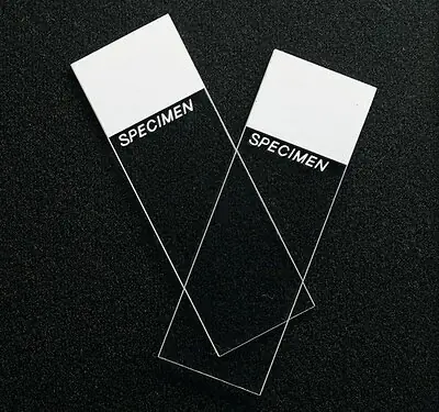 Erie Scientific - 4951F-001T SP® Superfrost® Microscope Slide