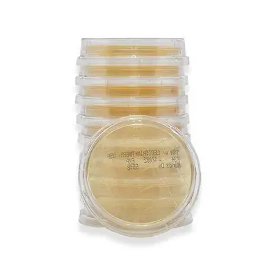 Acute Care Pharmaceuticals - P34 Prepared Media Lok-Tight™ Tryptic Soy Agar (TSA) with Lecithin and Tween® 80 Beige Contact Plate