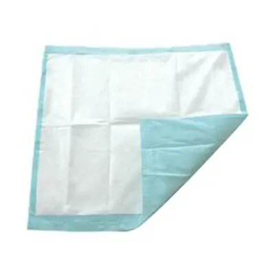 Secure Personal Care Products - SP115412 TotalDry™ Underpads
