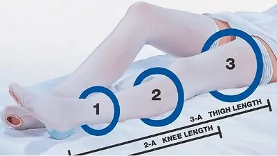 Carolon Company - 640 CAP® Thigh High Anti-embolism Stockings