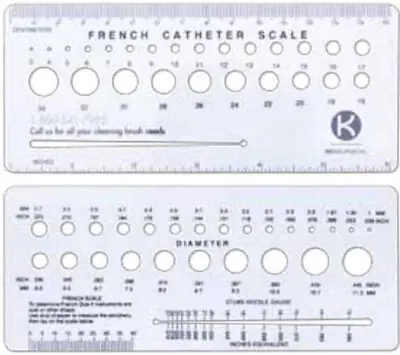 Steris - MJ370 French Catheter Scale 6 Inch Length Plastic NonSterile