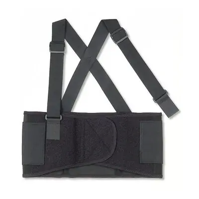 Ergodyne - 11094 ProFlex® 1650 Back Support
