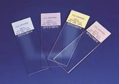 Erie Scientific - CM-4951WPLUS-001 Colormark® Plus Microscope Slide