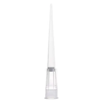 Globe Scientific - 150915 Globe Scientific™ Filtered Low Retention Pipette Tips