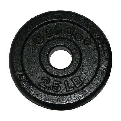 Fabrication Enterprises - 10-0601 Weight Plate 2-1/2 lbs.
