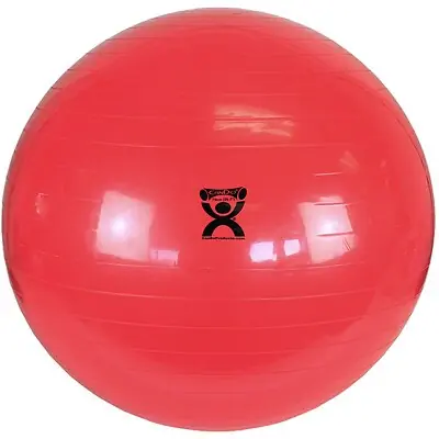 Fabrication Enterprises - 30-1804 CanDo® Inflatable Exercise Ball