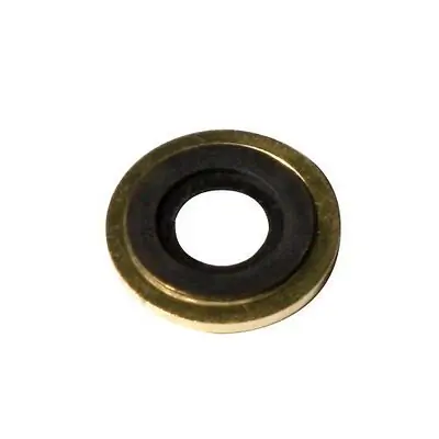 Sunset Healthcare - RES035 Brass Washer