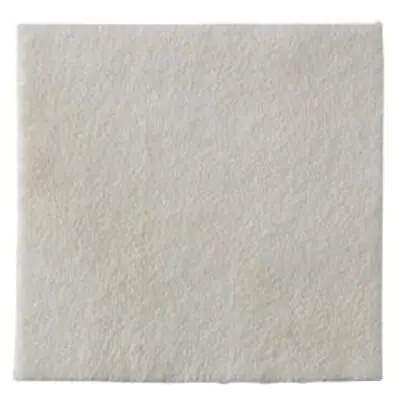 Coloplast - 3755 Biatain® Ag Silver Alginate Dressing