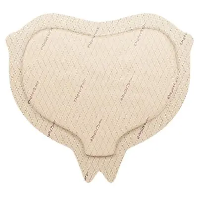 Molnlycke - 282055 Mepilex® Border Silicone Adhesive with Border Silicone Foam Dressing