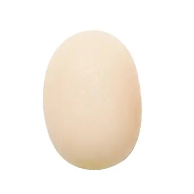 Fabrication Enterprises - 10-1890 CanDo® Cylindrical Squeeze Ball