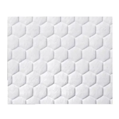 Coloplast - 33578 Silver Gelling Fiber Dressing Biatain® Fiber Ag Rectangle Sterile
