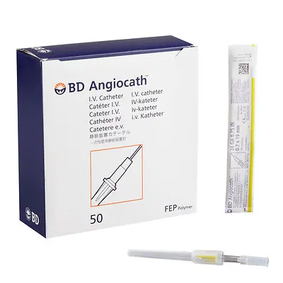 BD - 381112 Peripheral IV Catheter Angiocath™ 24 Gauge 3/4 Inch FEP Polymer Straight Hub Non Blood Control Non-Safety