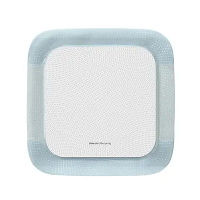 Coloplast - 39640 Silver Foam Dressing Biatain® Silicone Ag Square Sterile